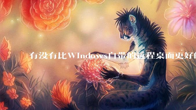 有没有比Windows自带的远程桌面更好的同类软件？