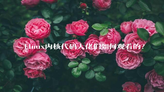 Linux内核代码大佬们如何观看的？